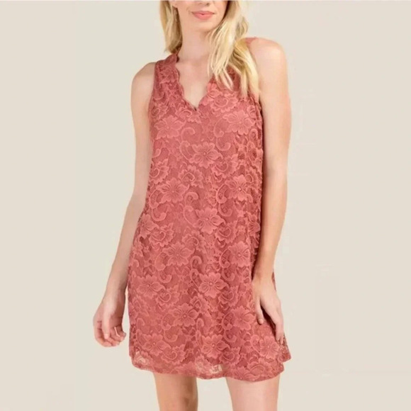 Francesca's Dusty Rose Lace Cut Out Mini Dress Sweet & Chic Size Medium - Picture 2 of 9